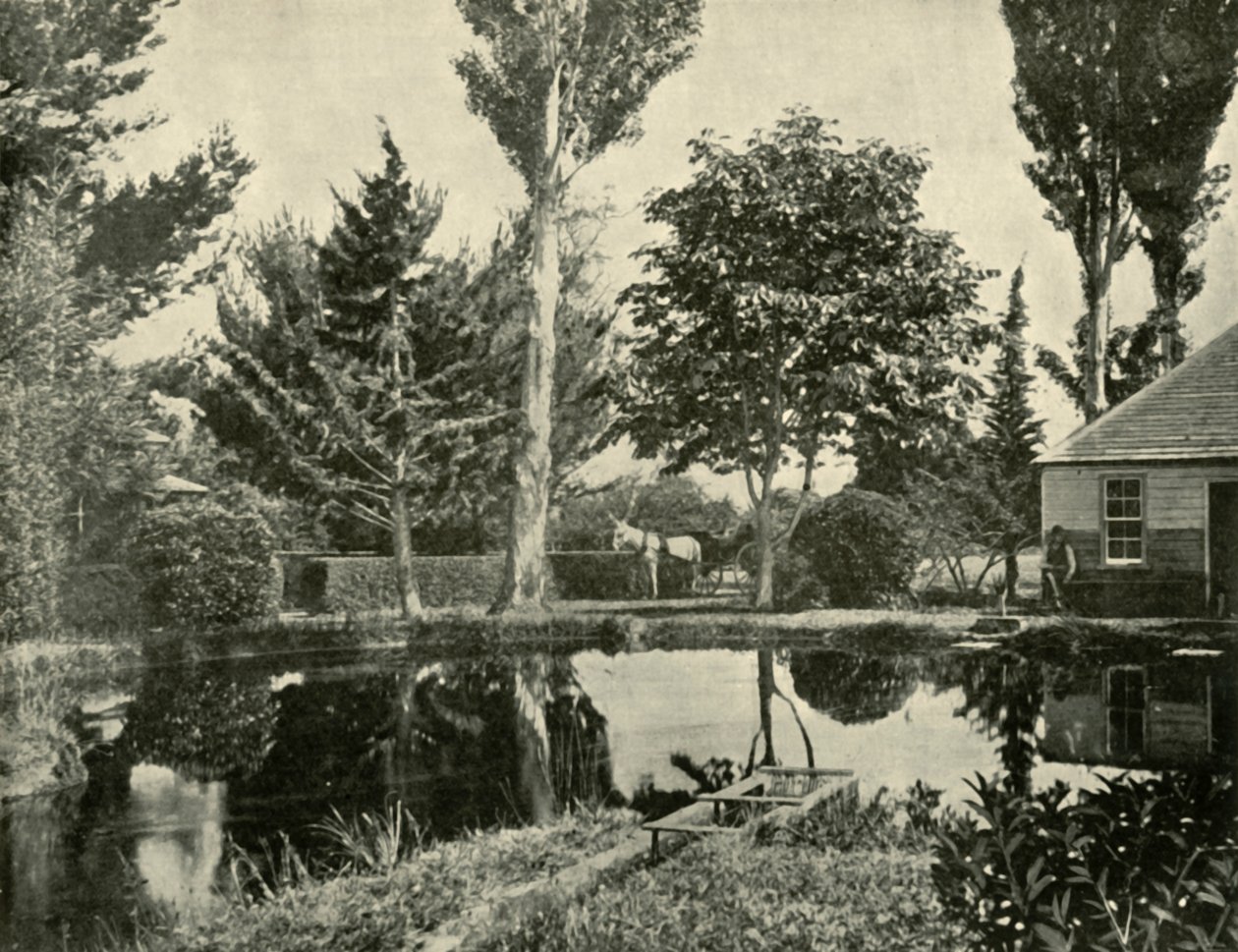 The Salmon Ponds, New Norfolk, 1901. alkotó: Unbekannt