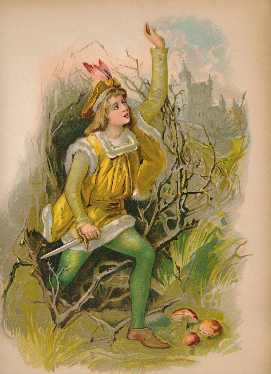 A Csipkerózsika, 1903 alkotó: Unbekannt