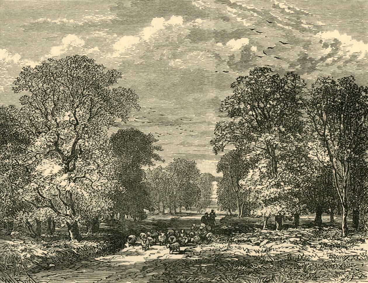 A Southampton Road, 1898. alkotó: Unbekannt