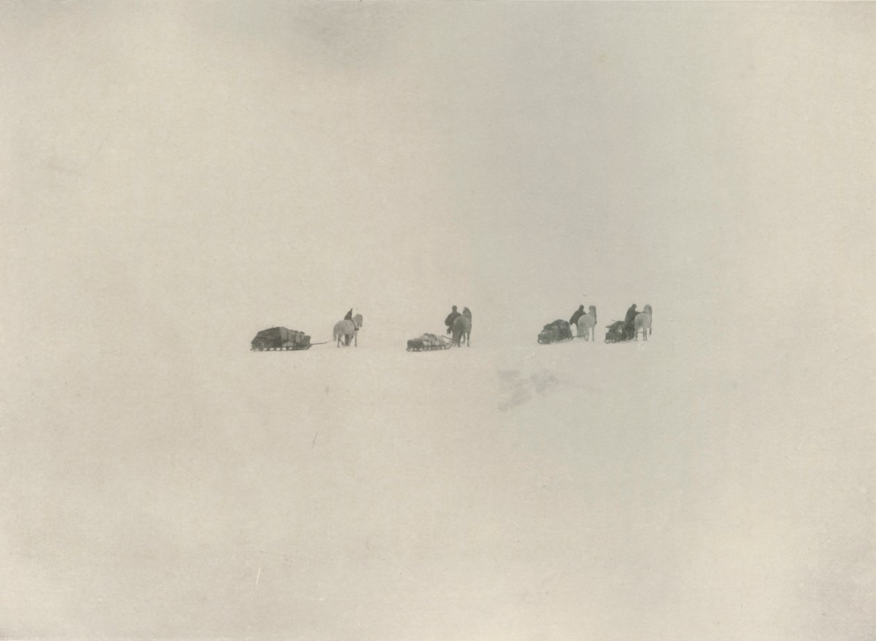 A déli párt menetel a fehér ismeretlenbe, 1908, 1909. alkotó: Unbekannt