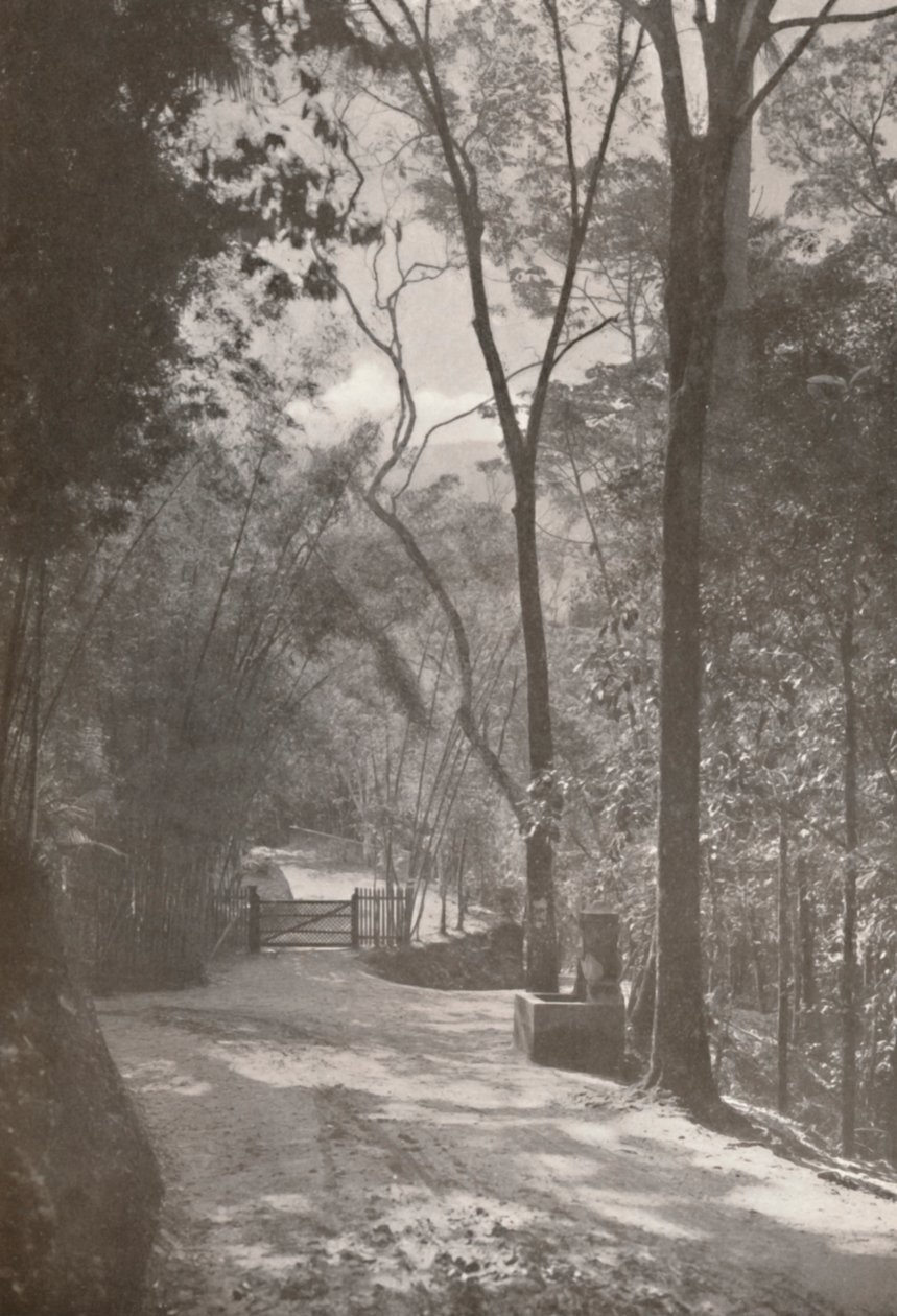 Tijuca szelleme, 1914 alkotó: Unbekannt