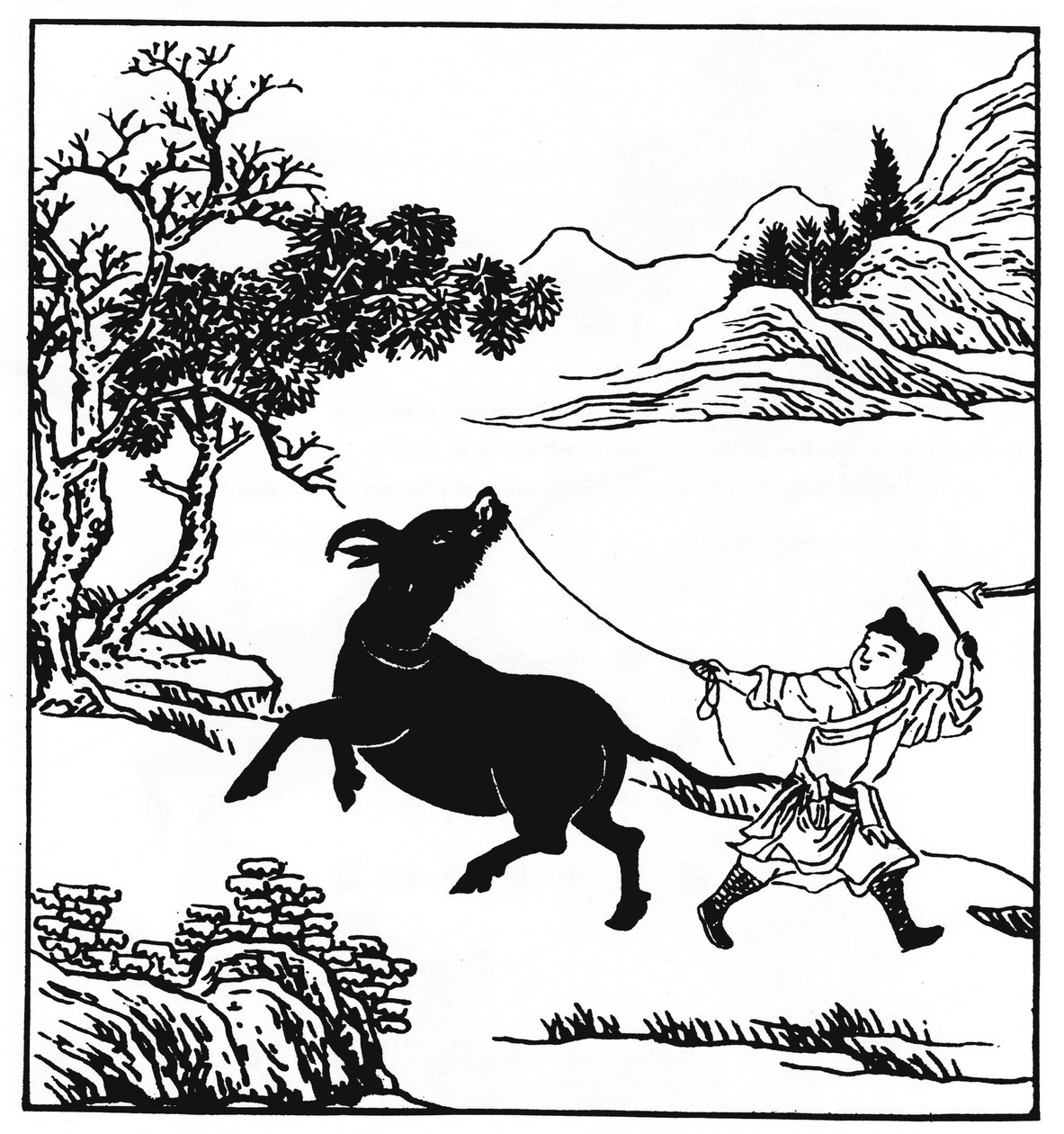 Puming (Fumyo), ismeretlen szerző The Ten Oxherding Pictures 2. szakasz: megszelídítés, fegyelem megkezdődött (fotó) alkotó: Unbekannt