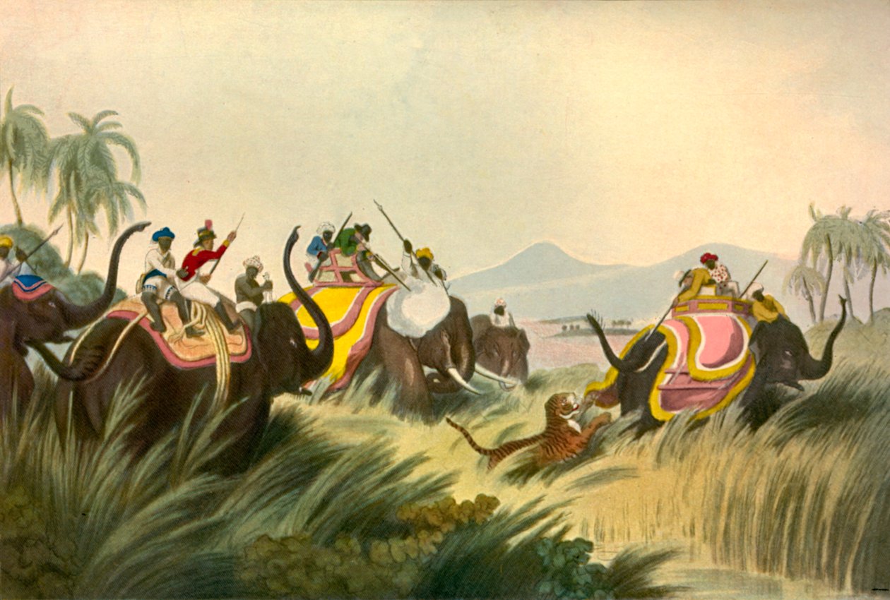 A tigrisvadászat, c1808, 1901. alkotó: Unbekannt