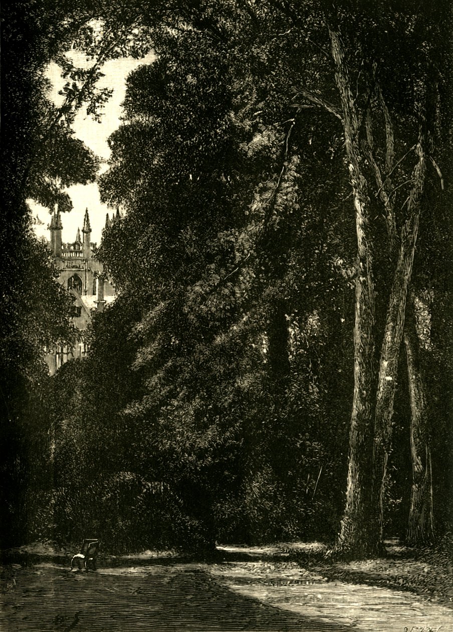Merton tornya, a kertből, 1898. alkotó: Unbekannt