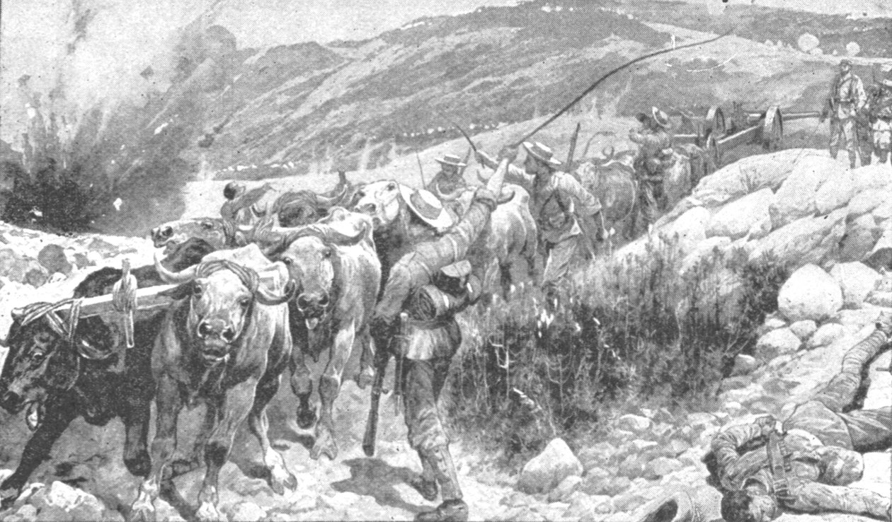 A transzvaali háború, 1899-1901: A kékkabátosok fegyvert mentenek, 1901. alkotó: Unbekannt