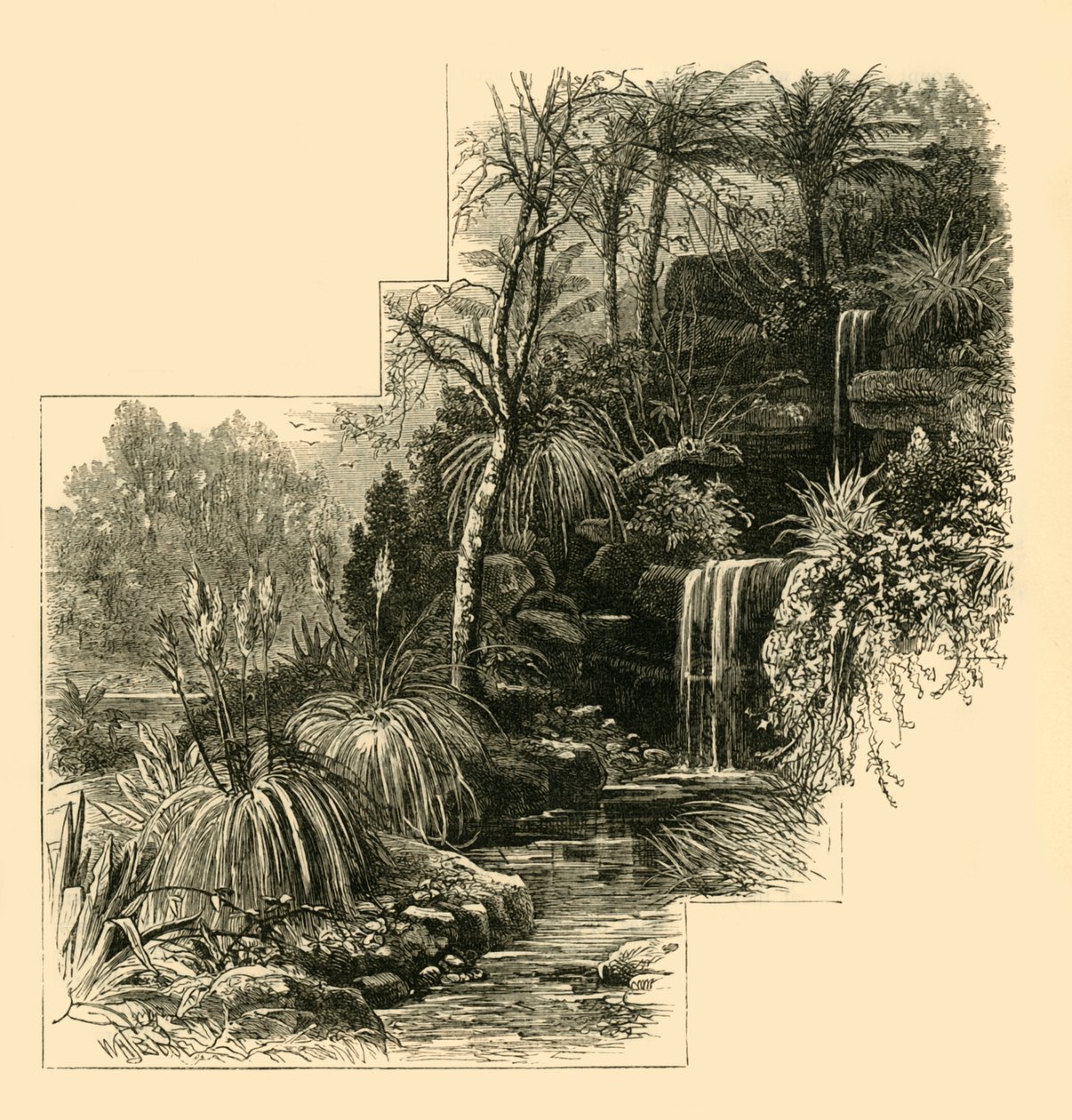 The Tropical Gardens, Battersea Park, 1878. alkotó: Unbekannt