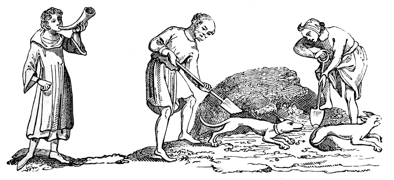 Egy róka feltárása, 14. század, 1833 alkotó: Unbekannt