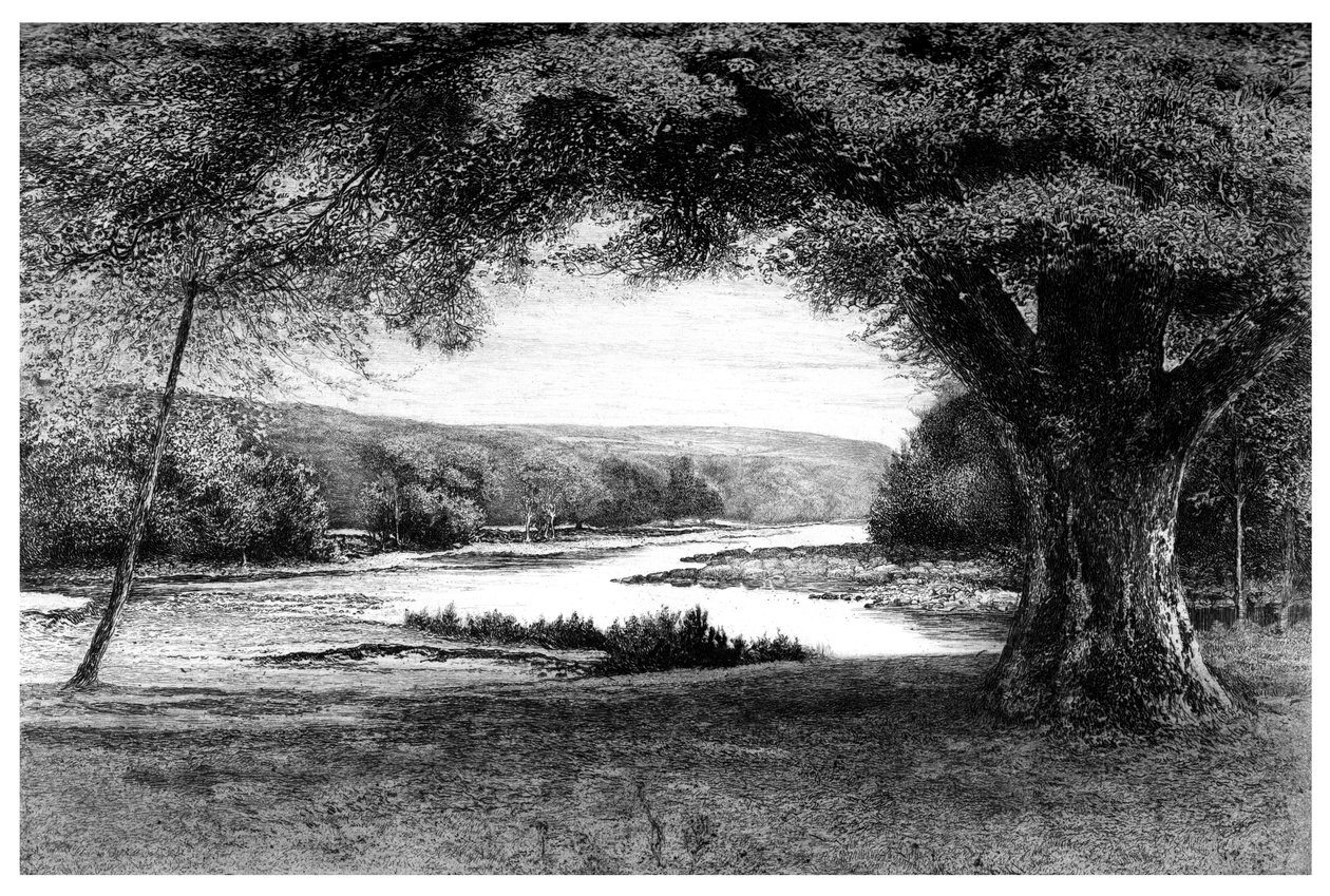 Az avoka völgye, 1895 alkotó: Unbekannt
