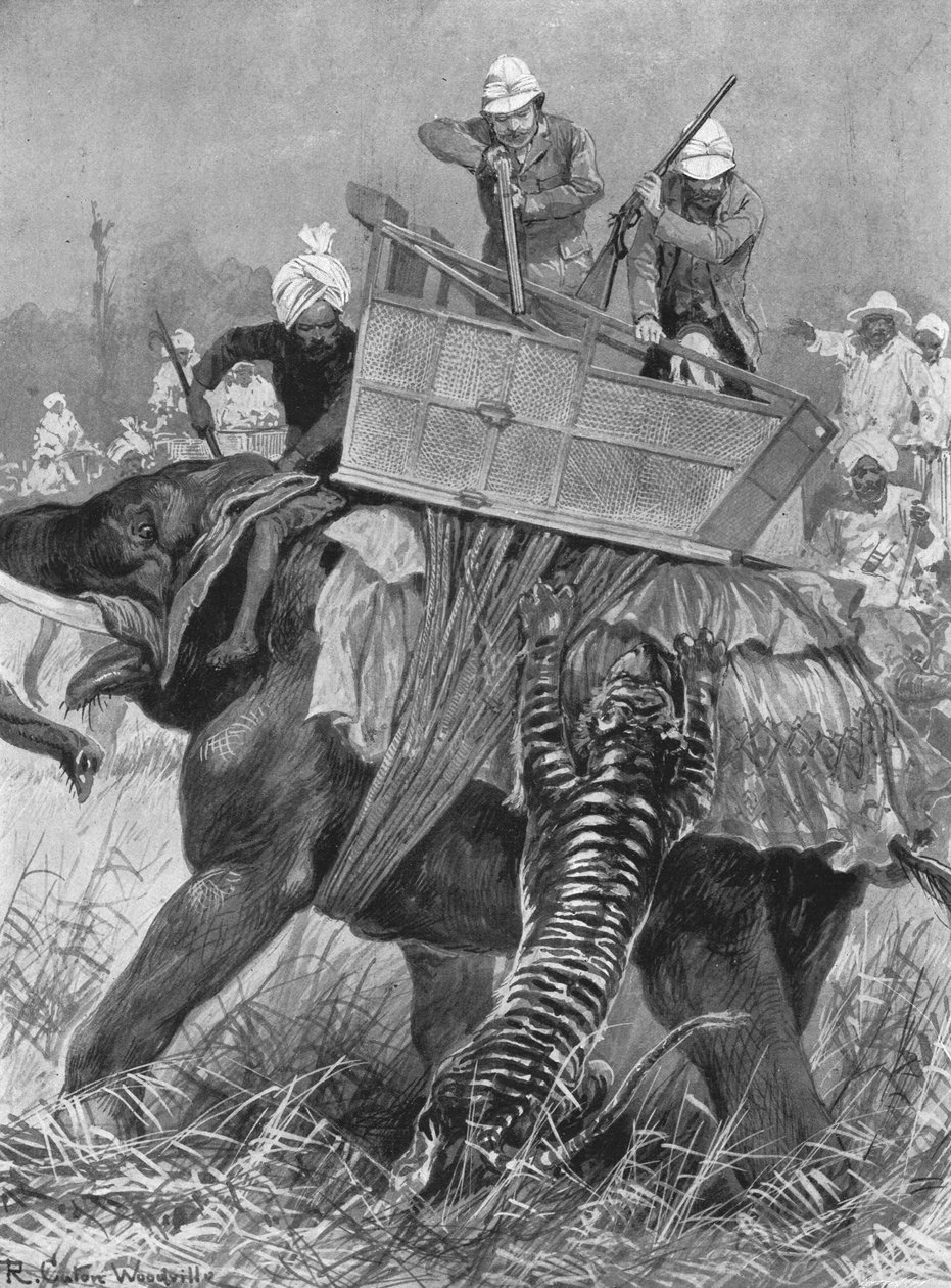 A walesi herceg látogatása Indiában, 1876: A hercegi elefánt egy tigris által megtámadva, 1901. alkotó: Unbekannt