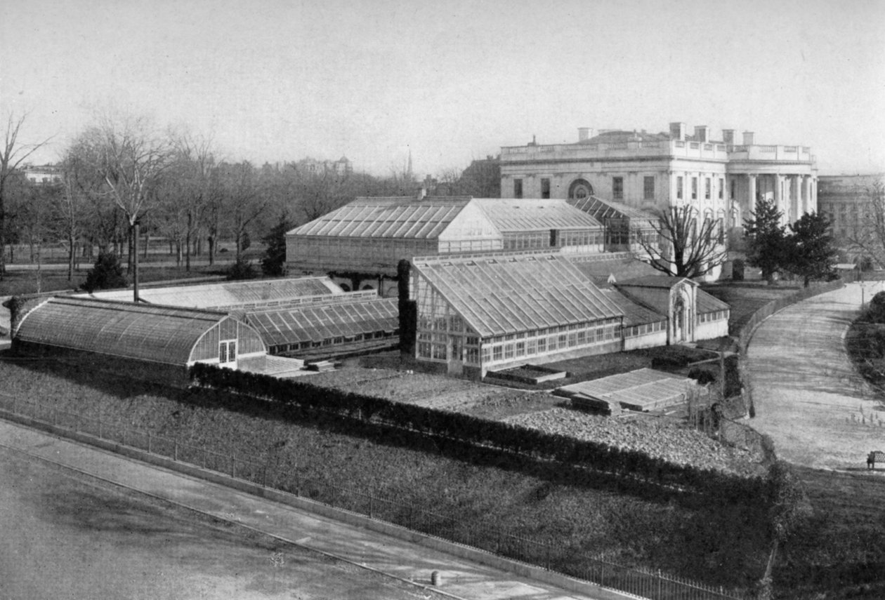 A Fehér Ház és az üvegházak, Washington DC, USA, 1908 alkotó: Unbekannt