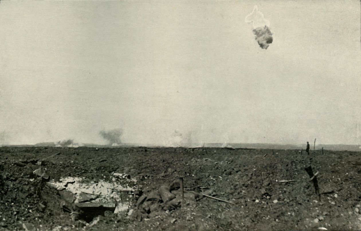 A gyapjas medve, 1919. alkotó: Unbekannt