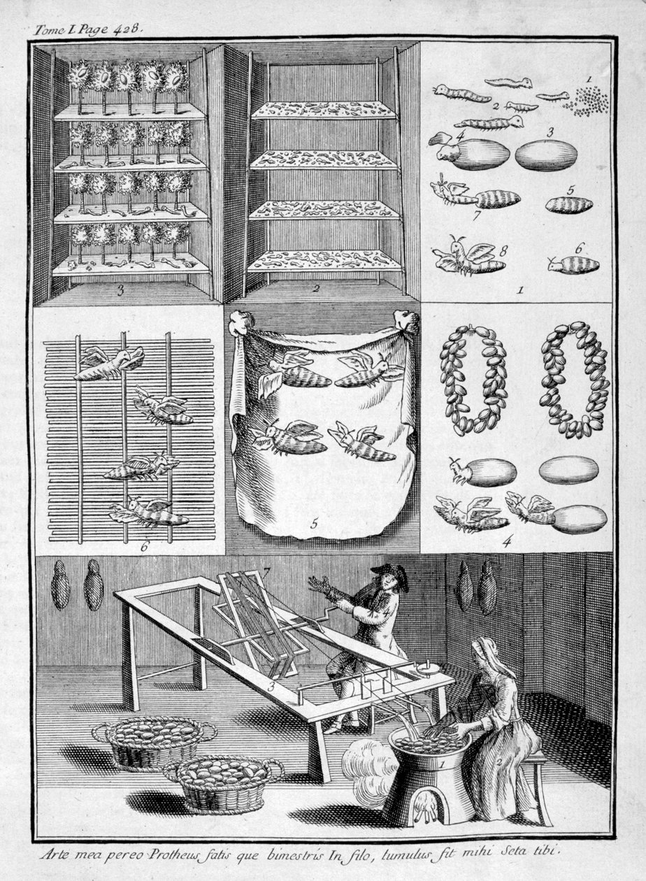 A selyemhernyók tenyésztése, 1775 alkotó: Unbekannt