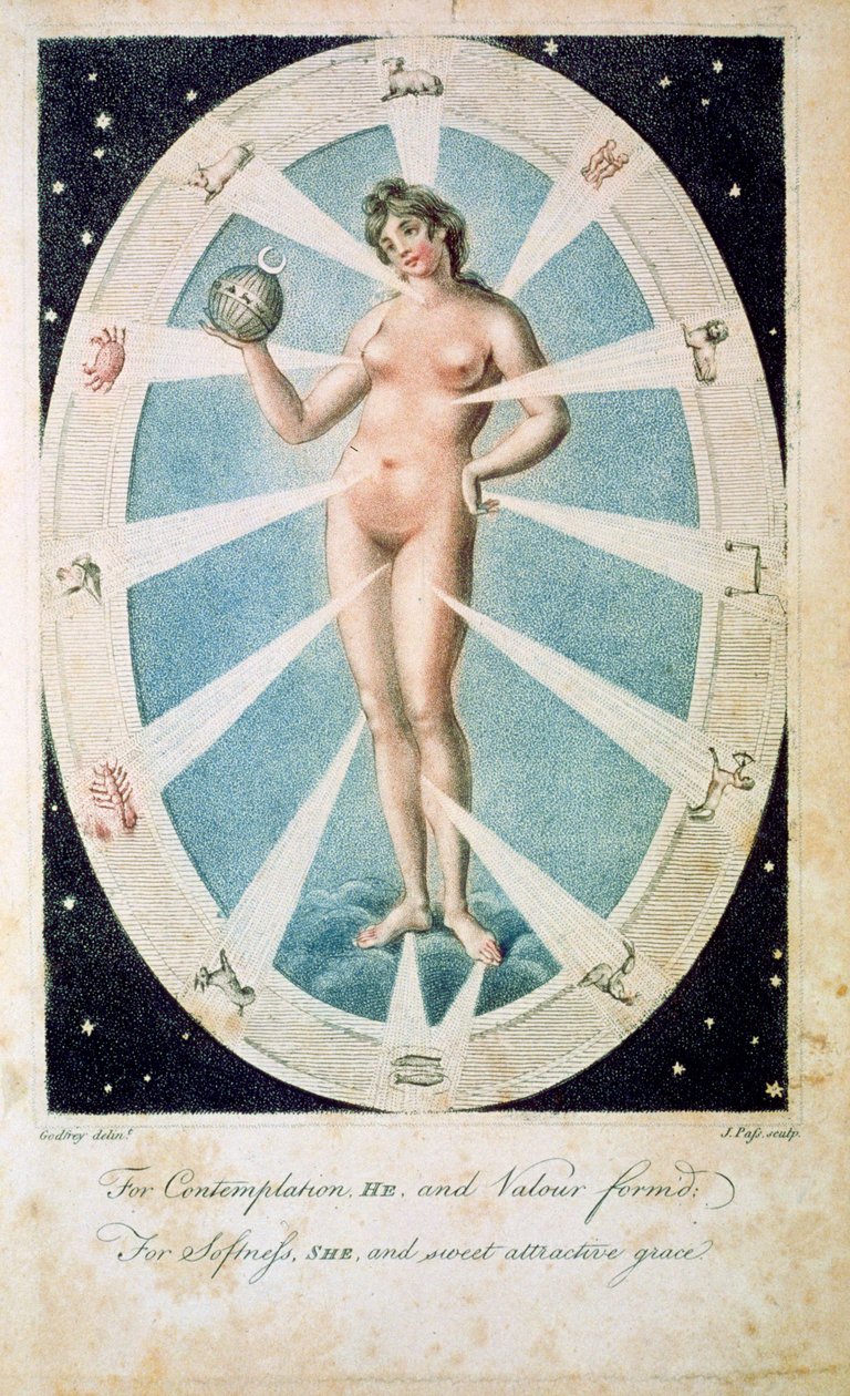 A női forma asztrológiai szimbólumokkal, 1790 alkotó: Unbekannt