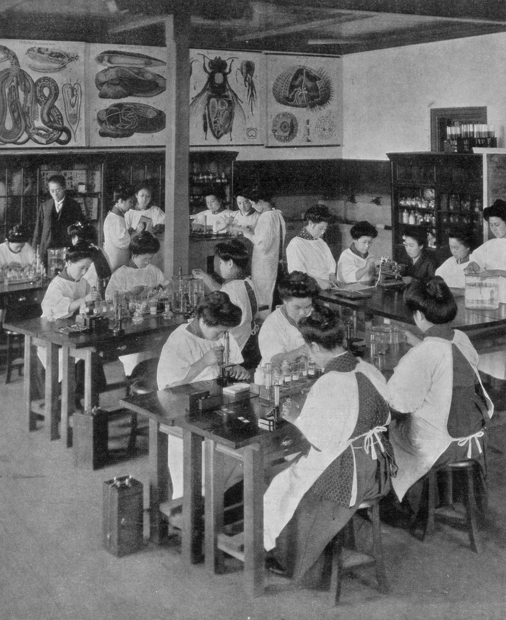 A nők felsőoktatása Japánban, 1910 alkotó: Unbekannt