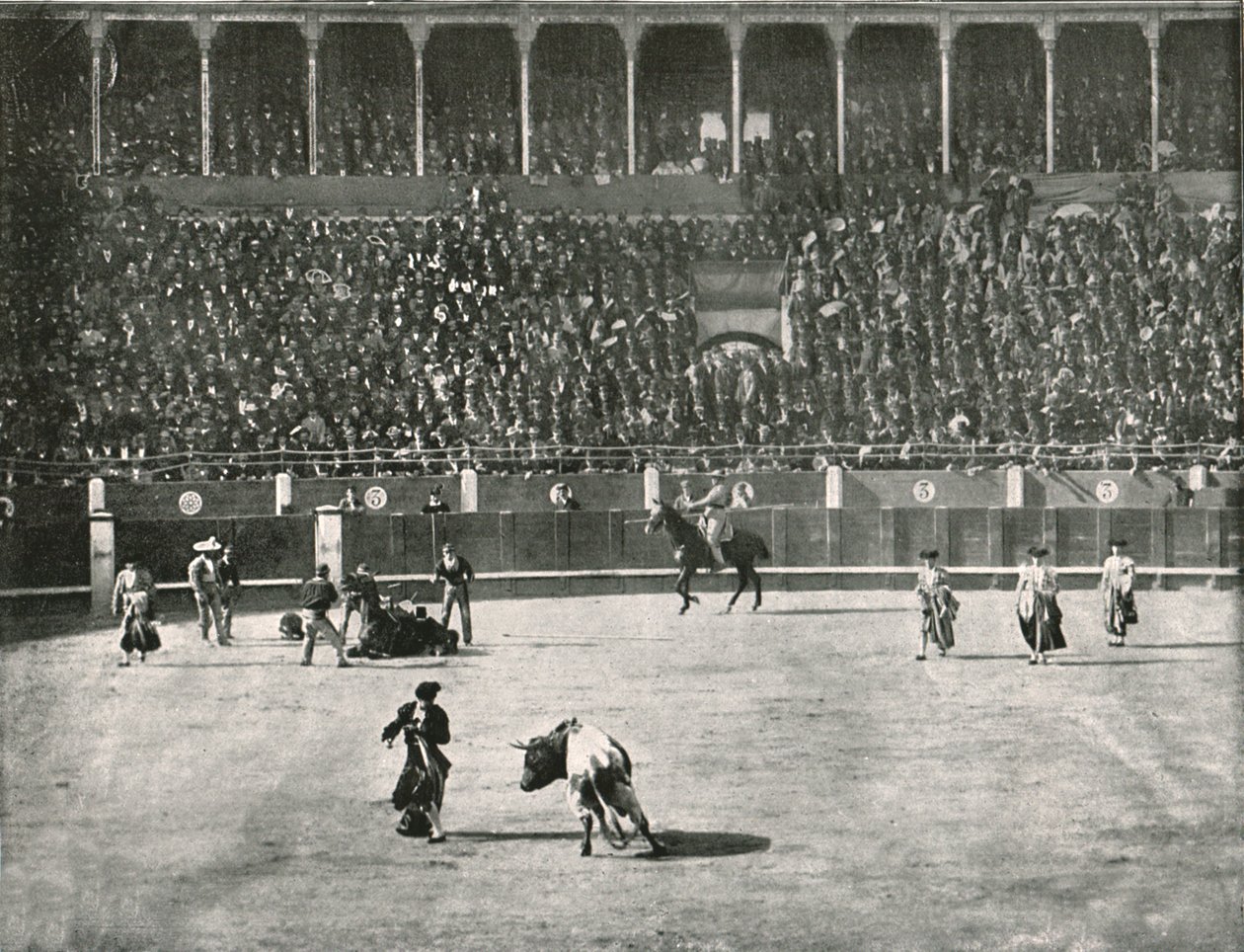 A bikaviadal-aréna belseje, Madrid, Spanyolország, 1895. alkotó: Unbekannt