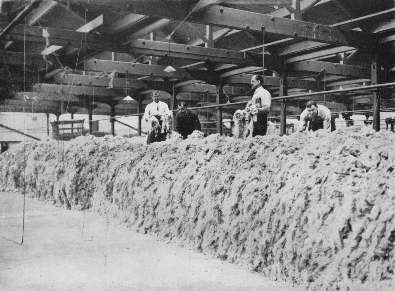 A khaki készítése – Gyapjúkeverés, 1915 alkotó: Unbekannt