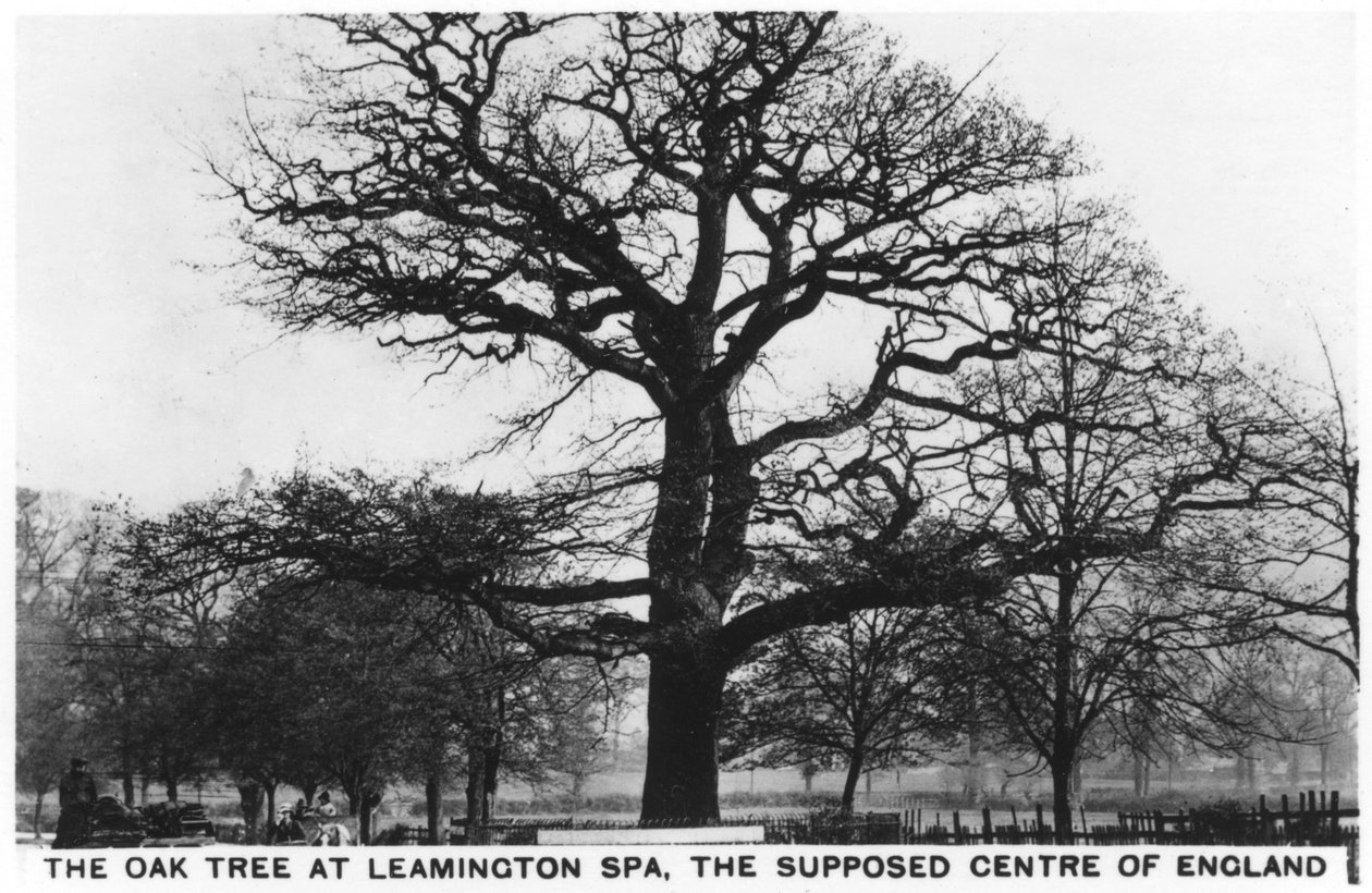 A tölgy a Leamington Spa-ban, Anglia feltételezett központjában, 1936 alkotó: Unbekannt