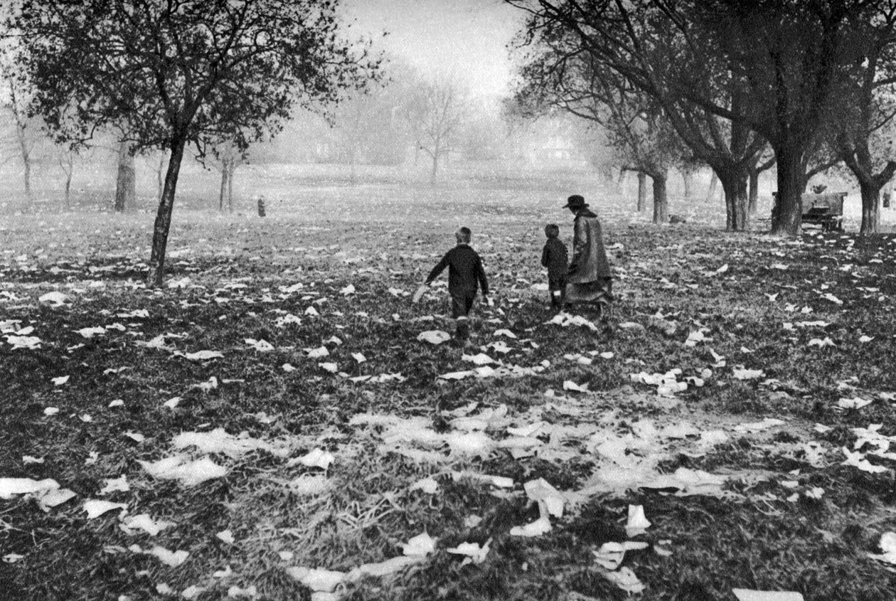 A Hampstead Heath-en hagyott szemét egy bankszünet után, London, 1926-1927 alkotó: Unbekannt