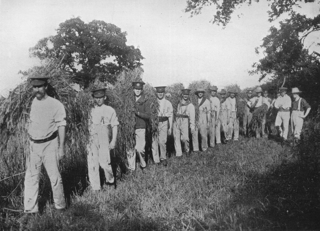 Mezőgazdasági munkaerőhiány: Az aratást segítő katonák, 1915 alkotó: Unbekannt