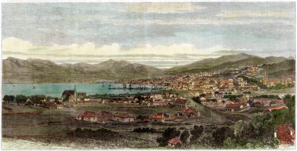 Wellington városa és kikötője, Új-Zéland fővárosa, 1880 alkotó: Unbekannt