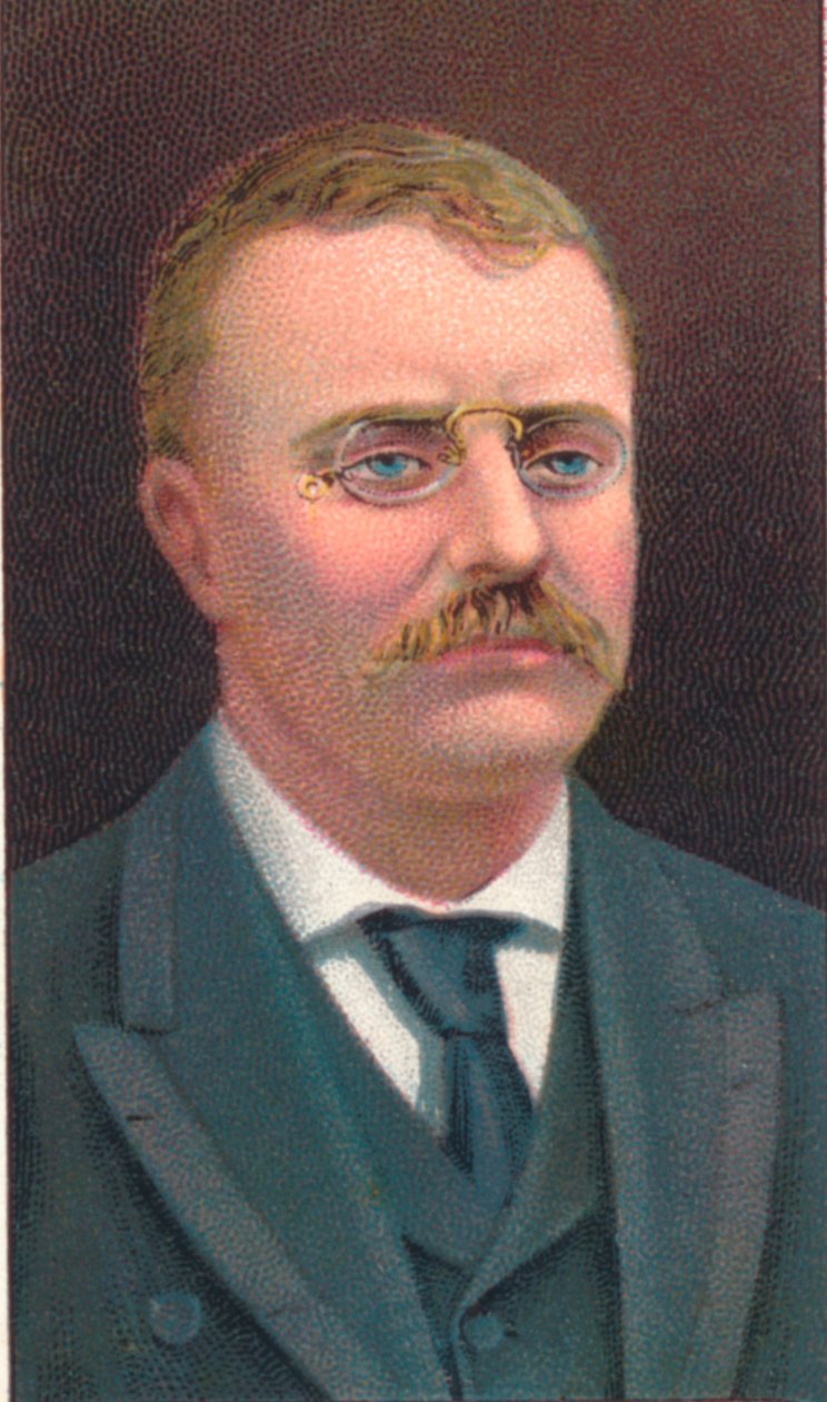 Theodore Roosevelt 1858-1919, az Egyesült Államok 26. elnöke, 1906 alkotó: Unbekannt