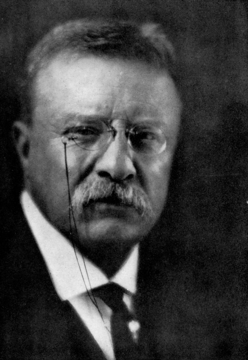 Theodore Roosevelt, az Egyesült Államok 26. elnöke, 1933 alkotó: Unbekannt
