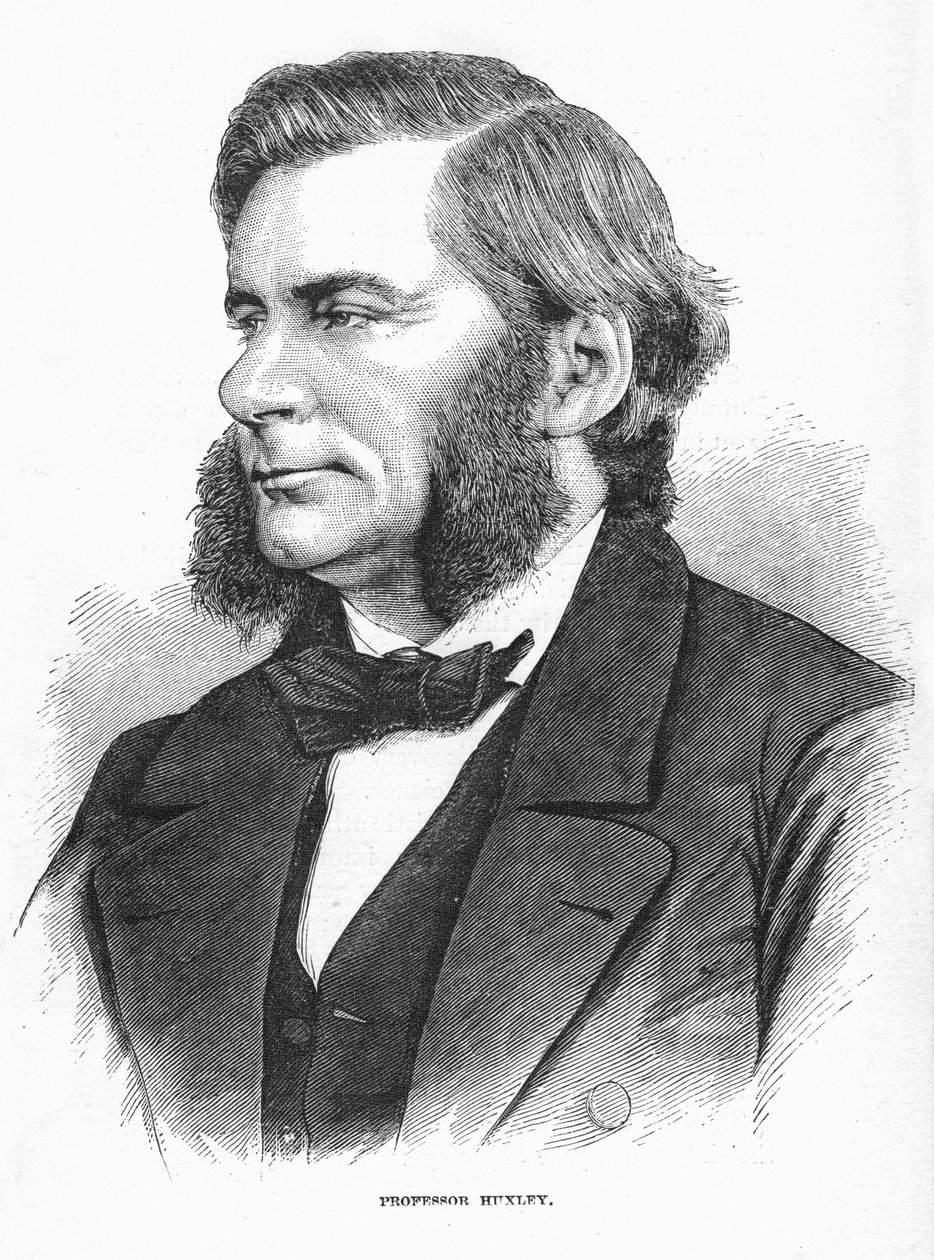 Thomas Henry Huxley brit biológus, 1860-as évek alkotó: Unbekannt
