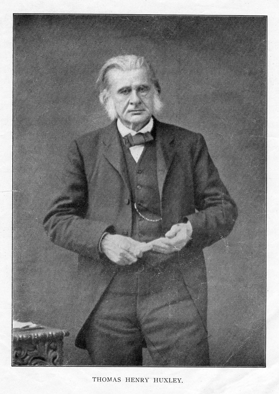 Thomas Henry Huxley brit biológus, 1870-es évek alkotó: Unbekannt