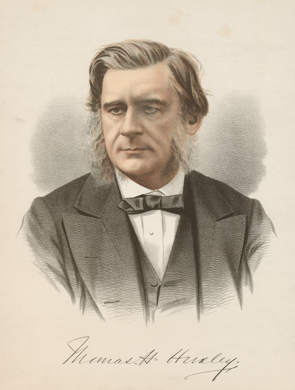 Thomas Henry Huxley angol biológus, 1880 alkotó: Unbekannt