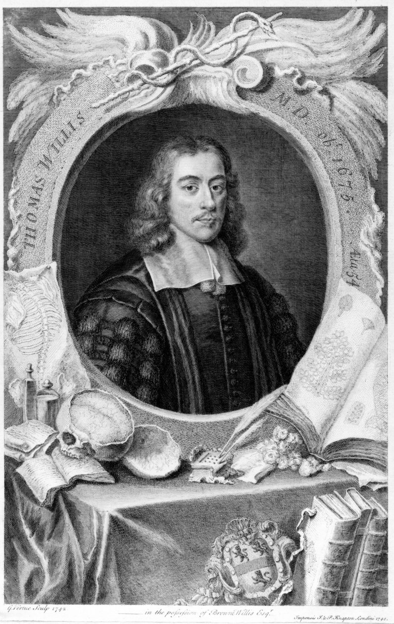 Thomas Willis angol orvos, 1660 alkotó: Unbekannt