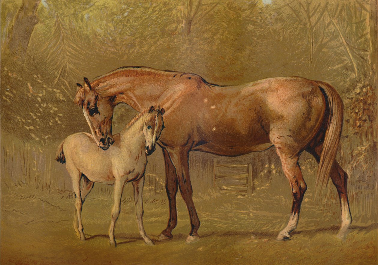Telivér kanca és csikó, 1879. alkotó: Unbekannt