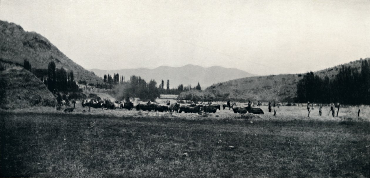 Kukoricacséplés ősi módon, 1911 alkotó: Unbekannt