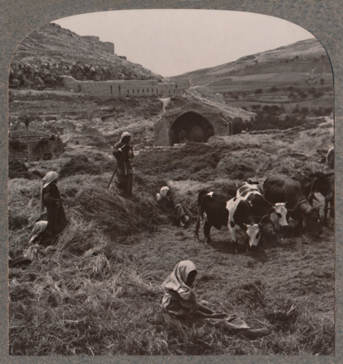 Gabona cséplés Jacobs Well közelében, 1900 alkotó: Unbekannt