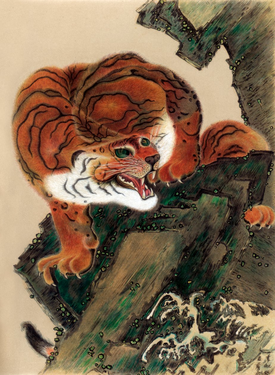 Tigris az életből, 1803 1886 alkotó: Unbekannt