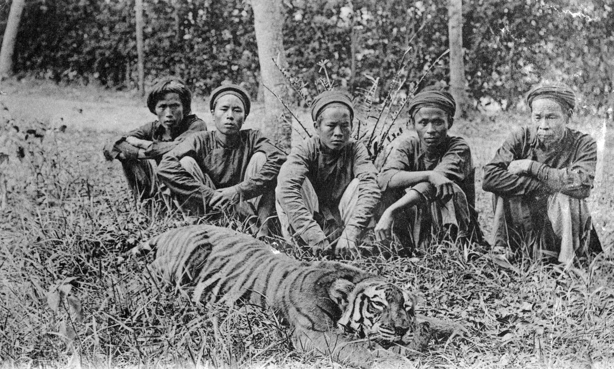Tigrisvadászok, Tonkin, Vietnam, XX. század alkotó: Unbekannt