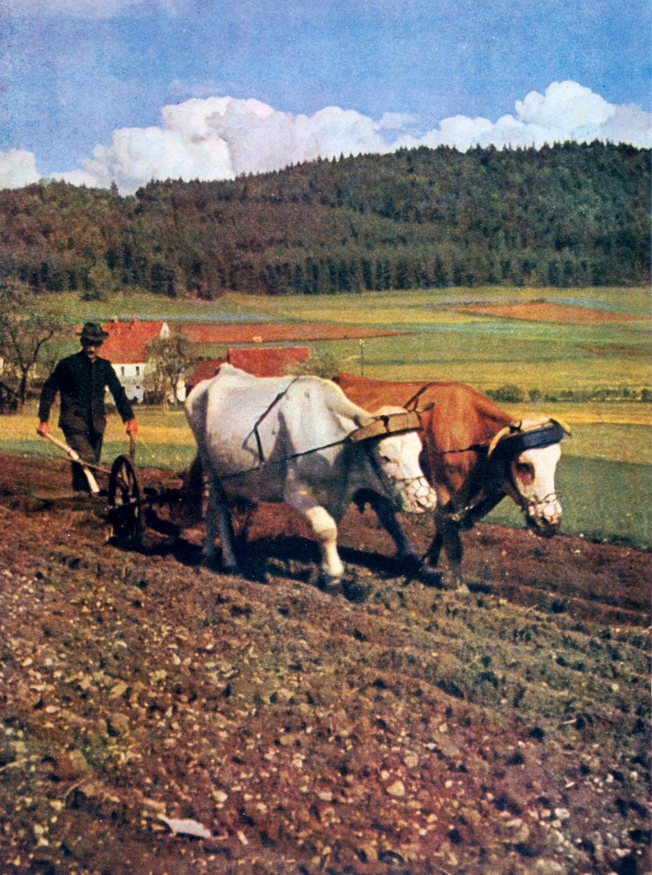 Tilling, Németország, 1943 alkotó: Unbekannt