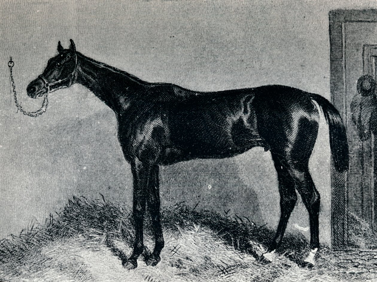 Tim Whiffler, 1860-as évek, 1911 alkotó: Unbekannt
