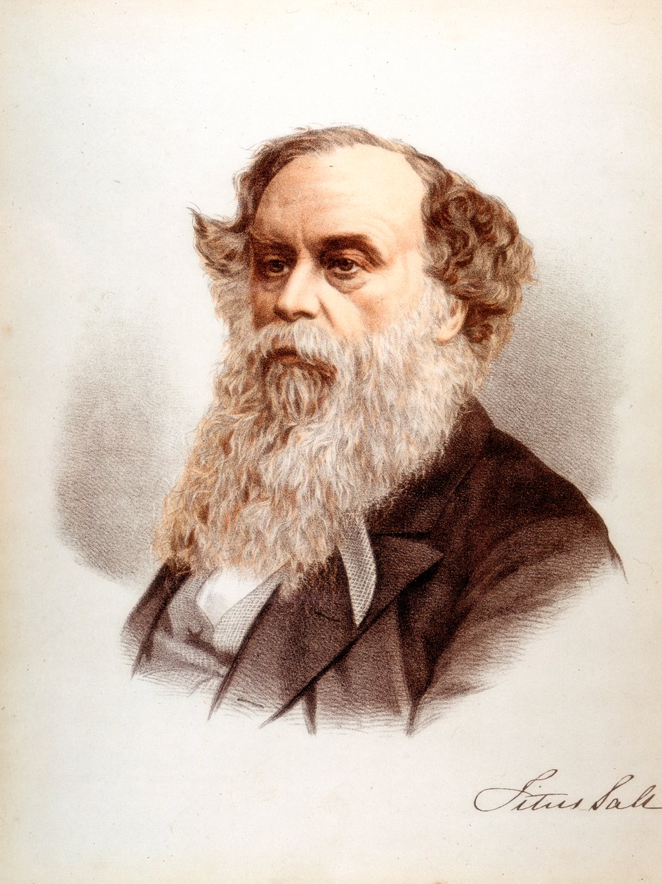 Titus Salt, brit gyapjúfűző és iparos, 1880 alkotó: Unbekannt