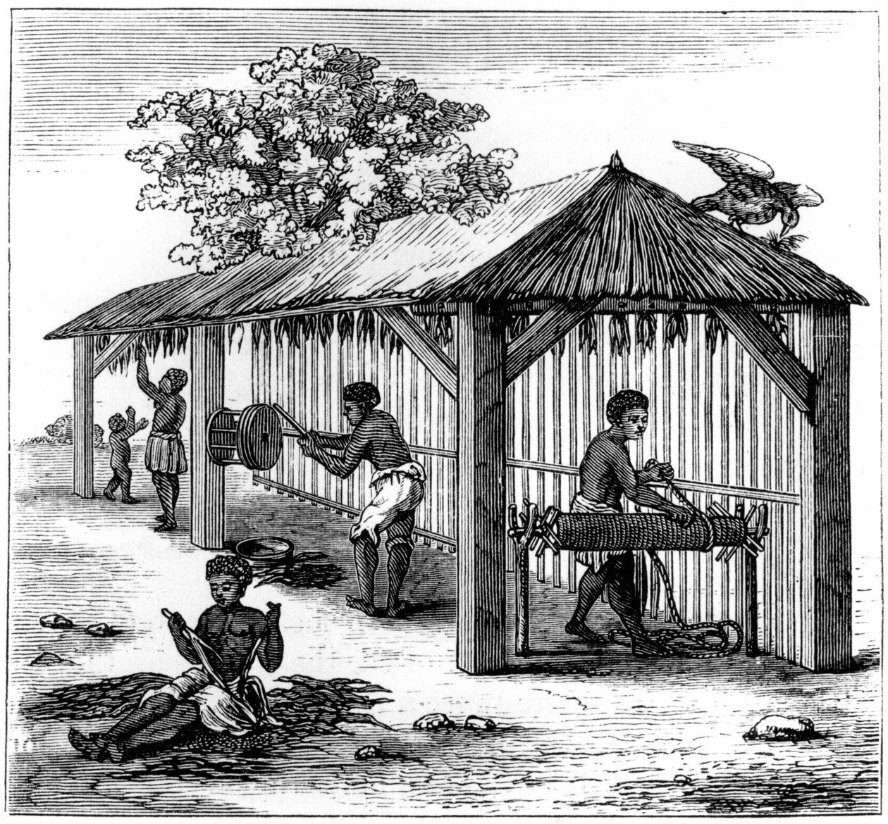 Dohánykészítmény, 1873 alkotó: Unbekannt