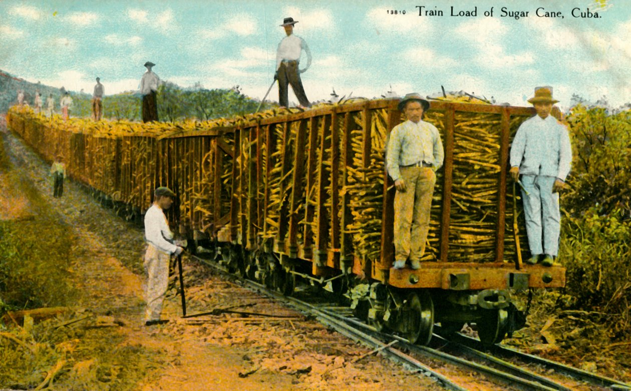 Train Load of Sugar Cane, Kuba, 1910-es évek. alkotó: Unbekannt