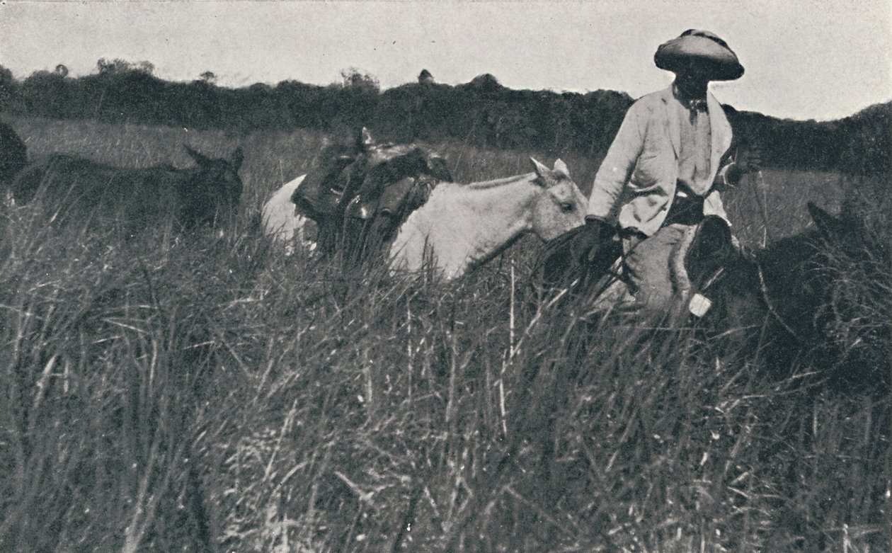 Utazás a Pampákon, 1916 alkotó: Unbekannt