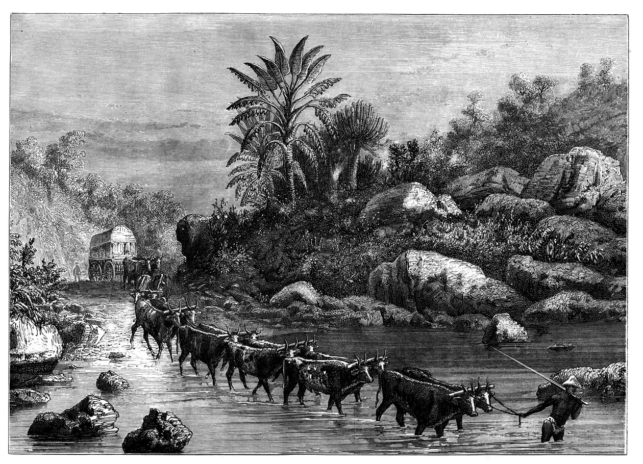 Utazás a dél-afrikai Griqualandben, 1890 alkotó: Unbekannt