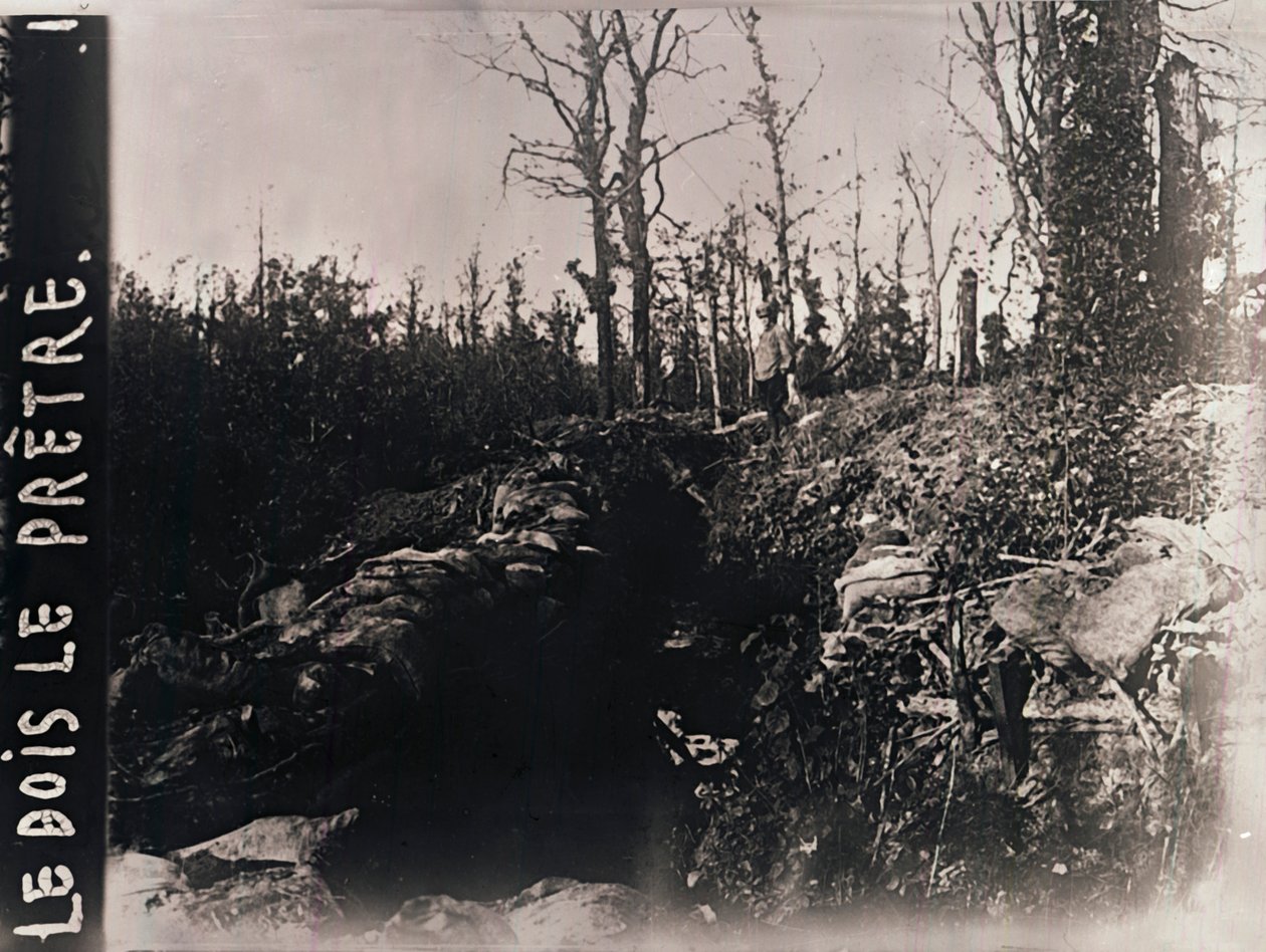 Árkok, Bois-le-Prêtre, Lotaringia, Észak-Franciaország, 1914-c1918 alkotó: Unbekannt