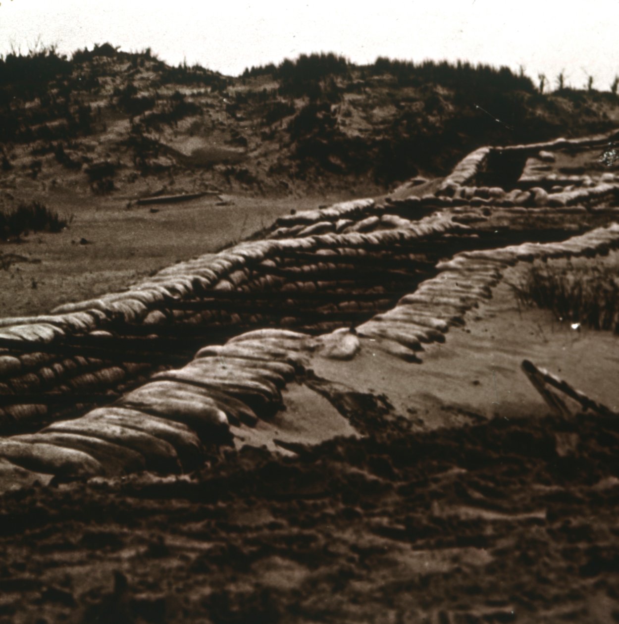 Árkok a dűnék menedékében, Nieuwpoort, Flandria, Belgium, c1914-c1918 alkotó: Unbekannt