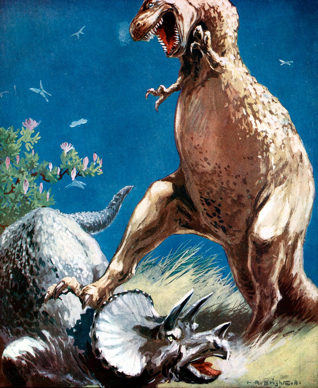 Triceratops, szarvas dinoszaurusz, amelyet egy tirannosaurus tart le, 1920 alkotó: Unbekannt