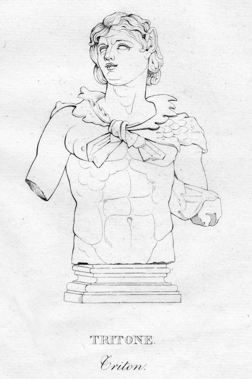 Tritone Triton, c1850 alkotó: Unbekannt