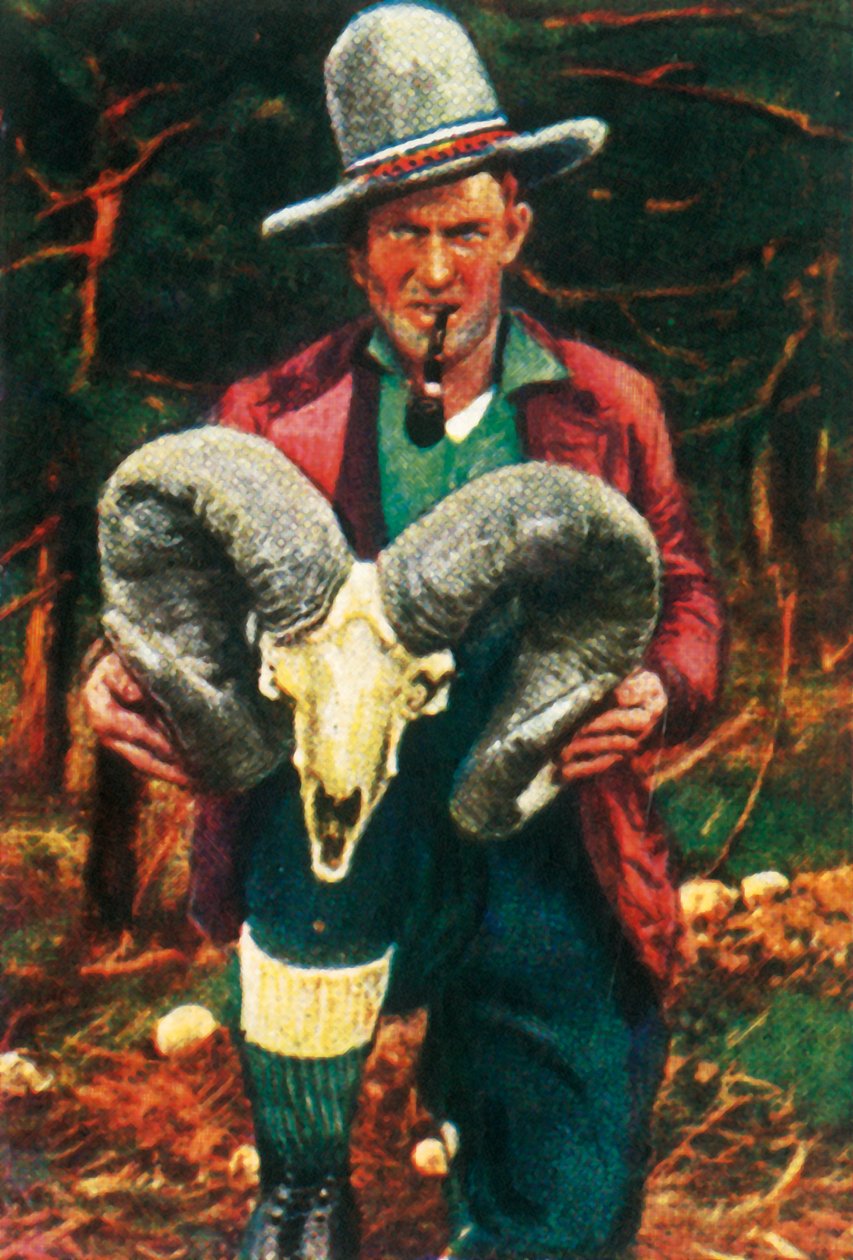 Trófeavadász Bighorn báránykoponya, c1928. alkotó: Unbekannt