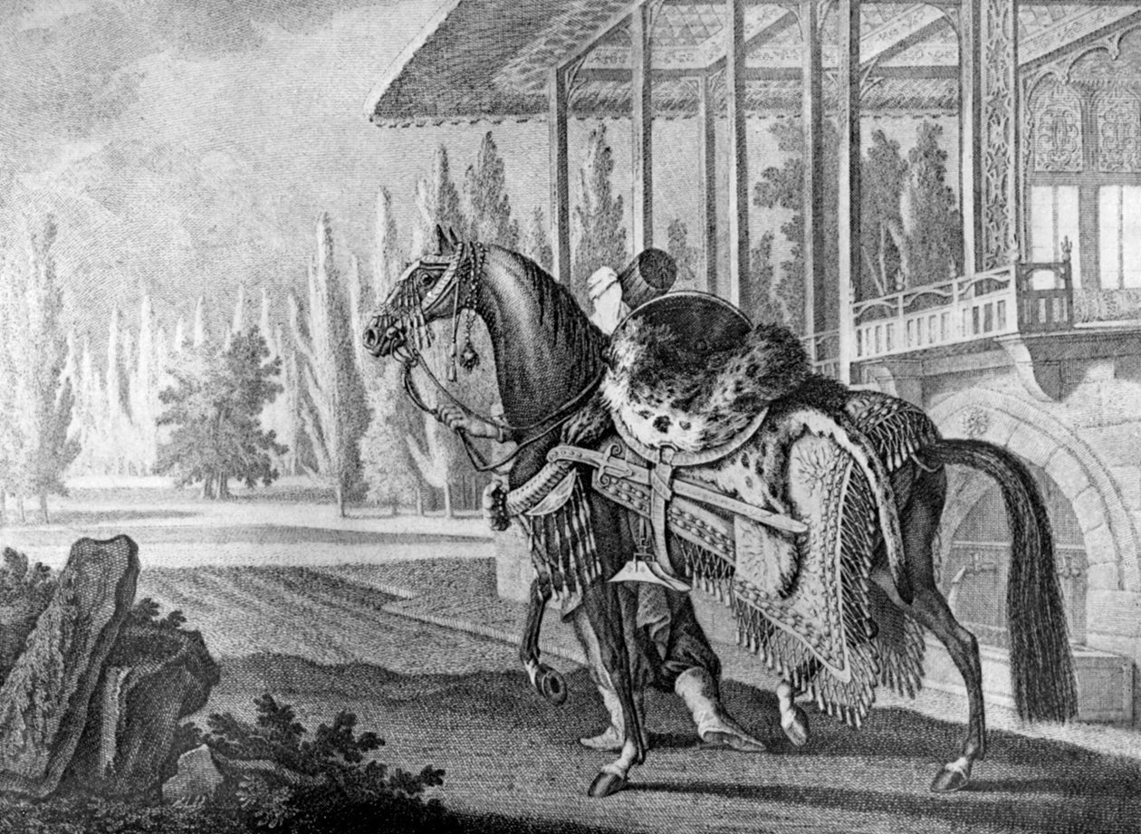 Török pasa arab hack, 1722 1938 alkotó: Unbekannt