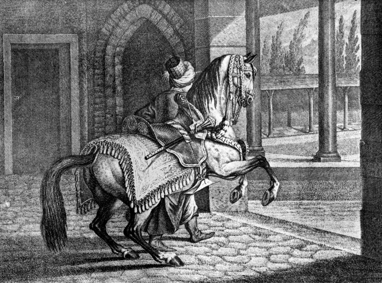 Török szultánok arab nyerges lova, 1722, 1938 alkotó: Unbekannt