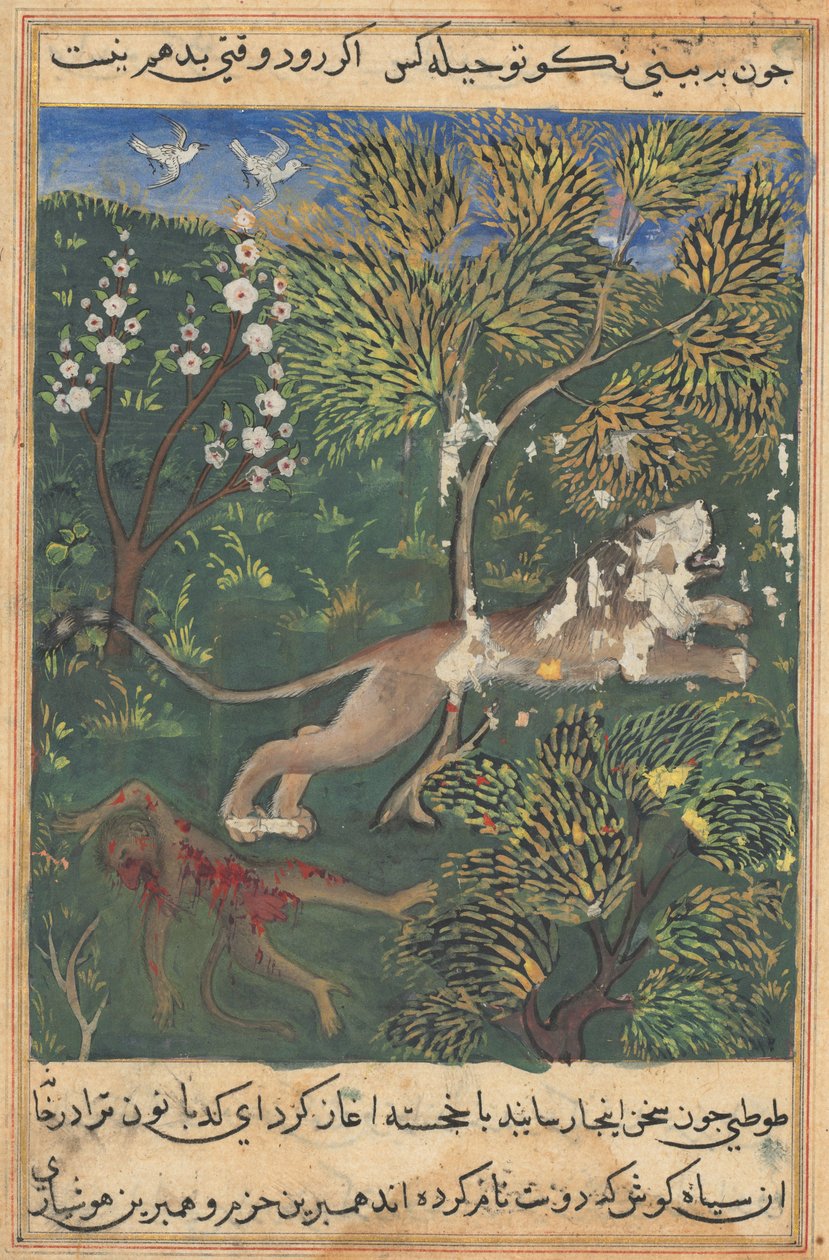 Tuti-Nama Papagáj meséi: Mese XXIX, c. 1560. alkotó: Unbekannt